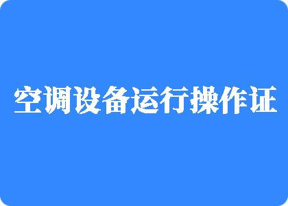 好大白屄妞视频播放制冷工证